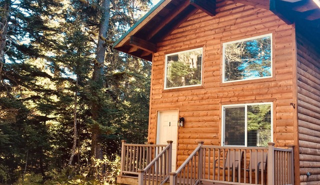 Aurora Skies Lodging - Private Cabin with Open Loft Bedroom - Sleeps 3-6
