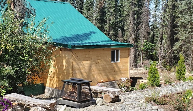 Baby Bear Kenai/Soldotna fishing cabin- sleeps 3 - Alaska Building a Dream
