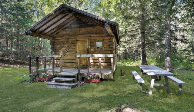 Bridge Cabin - a rustic Alaskan cabin on 2 private acres by the creek