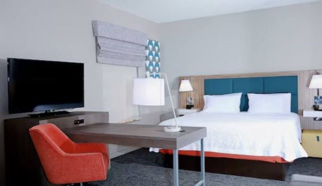 Bright Room w/Modern Design Close to University of South Florida