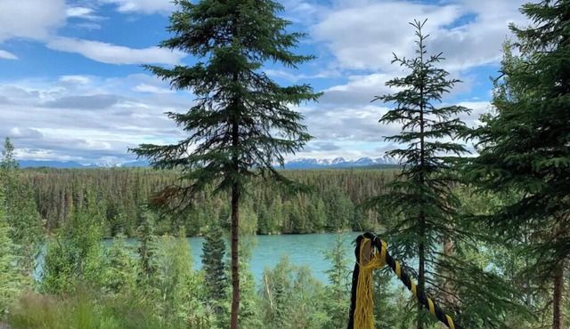 Cabin 1 on the Kenai River!best view cabin