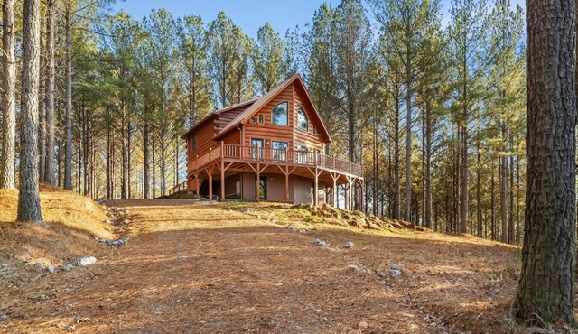 Carolina Chalet:Lake Lure, TIEC, Asheville Nearby!