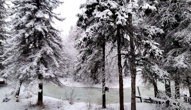 Central ANC Creekside Retreat: Direct Trail Access