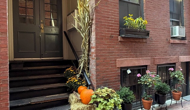 Charming & Private 1-bedroom Condo in Historic Boston - next to MGH hospital!