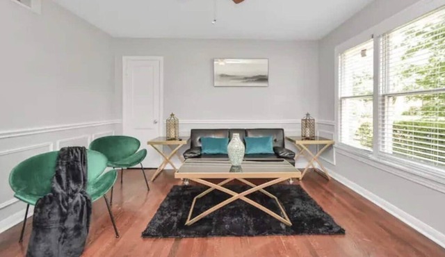 Clean, cozy 1 bed APT close to Downtown Houston!