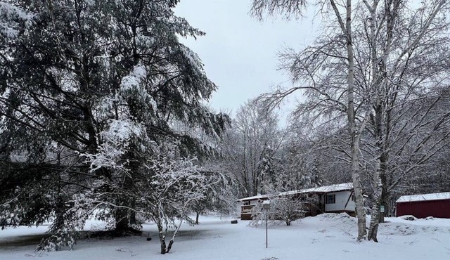 Comfortable dog-friendly home w/pond view, deck, gas grill, wifi, TVs, kitchen