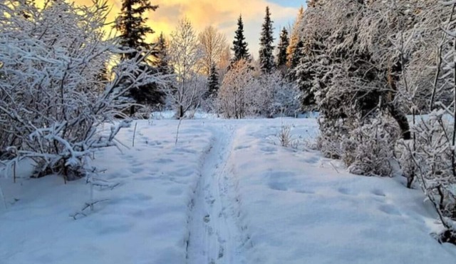 Creekside Home: Wild Alaska Living Centrally Locat