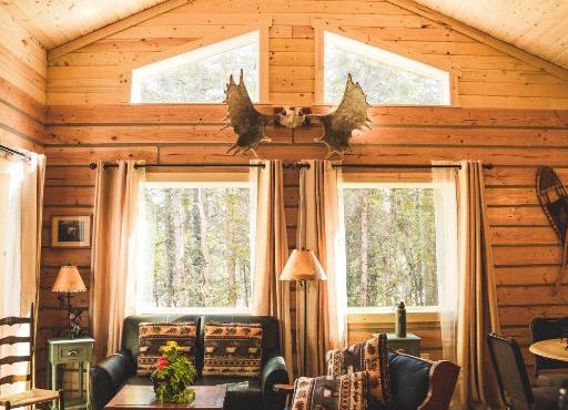 Denali Wild Stay - Moose Cabin, Free Wifi, 2 private bedrooms, sleep 6