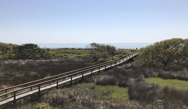 Direct Ocean Front View Condo!A225. Also see HA#9437951🏖next door!HHI STR#072304