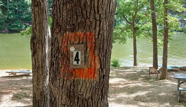 DnD Campground Site #4 Primitive Lake Front Camping