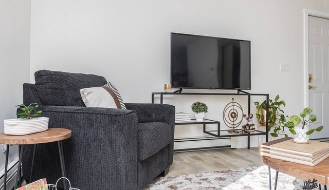 Entire 2BR 1Bath Apt “The Downtown Deneege”