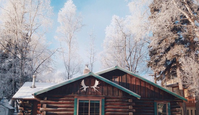 Experience Alaska In Your Very Own Private Log Cabin Built By A Former Mayor!
