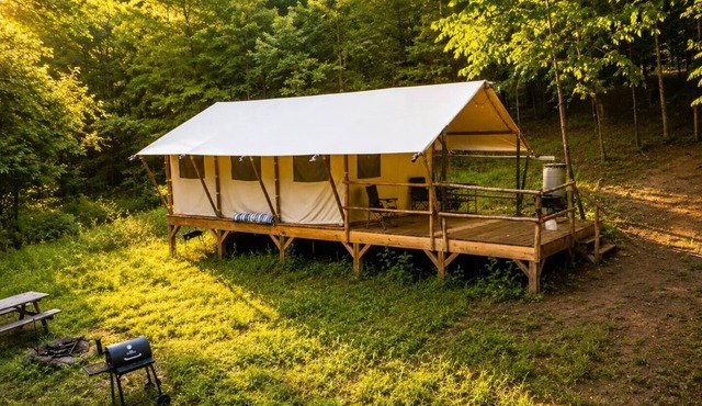 Hidden Meadow Retreat | Ponds, Stars & Solitude