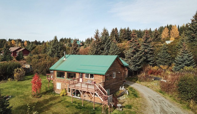 Homer, Alaska 4BR House-great views, dogs welcome, close to town