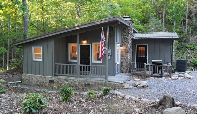 Light & bright 2+ bedroom single level cabin in Bristol