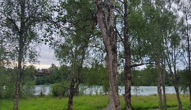 LOCATED ON THE KENAI RIVER! Kenai River Haven Unit #2.