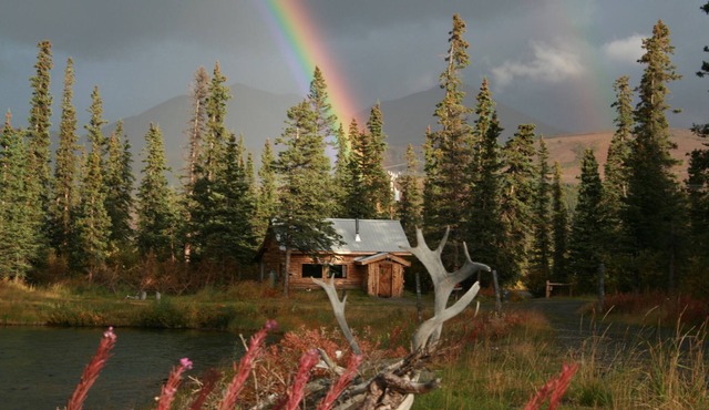 Maggie's Denali / Fish Denali Adventure Cabin