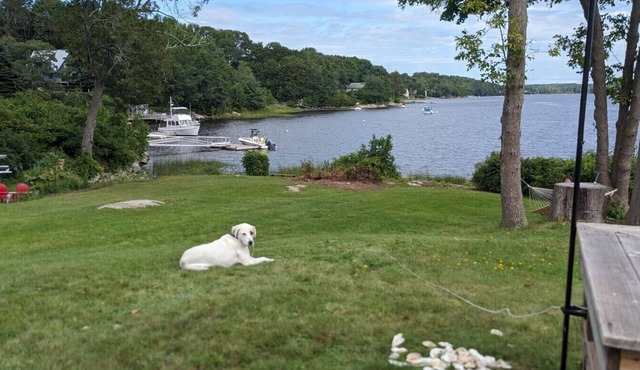 Maine waterfront, walkable to historic downtown in Bath