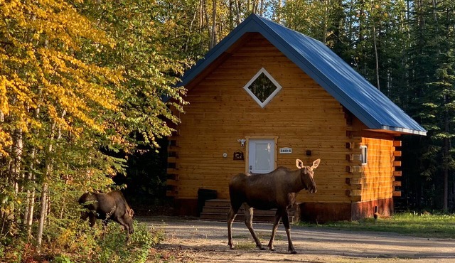 Moose Tracks Cabin in North Pole, Alaska