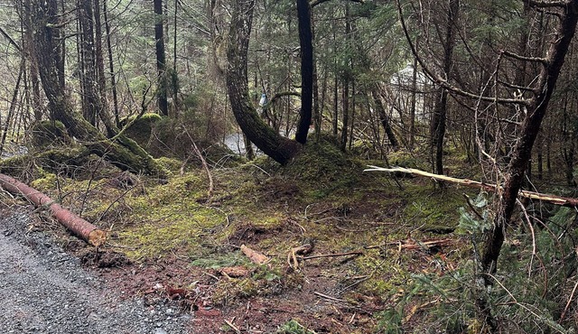 Natural scenic camp in Seward