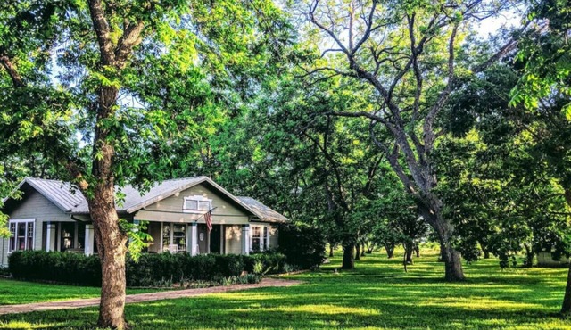 Nut House Countryside Pecan Farm 14 ac San Marcos