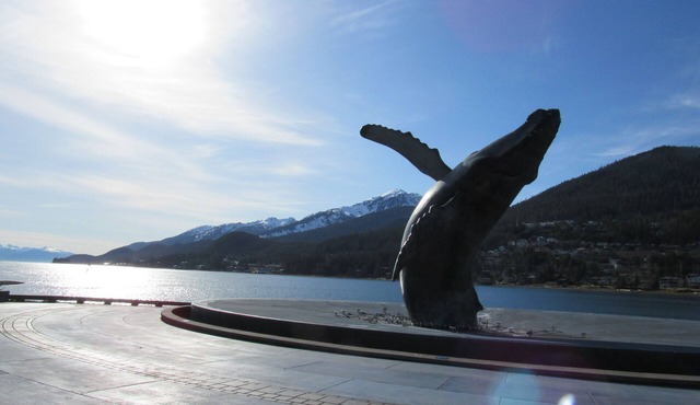 Ocean, Mt Juneau and Mt Roberts Views from Spacious Front Porch! -Open Concept