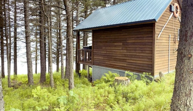 Ocean-view Cabin on the Anchor Point Bluff