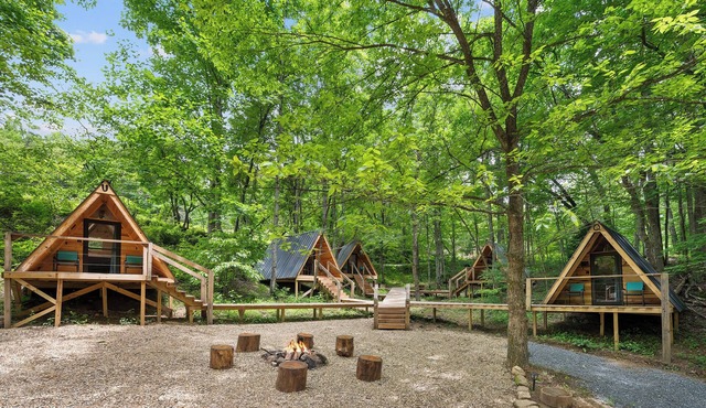 Off-Grid Mini A-Frame in Hartford, TN- Cabin Q in Hartford