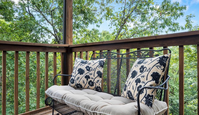 Ozark Fun - Cozy 2-bedroom 1 mile from SDC - Rest and Relax!