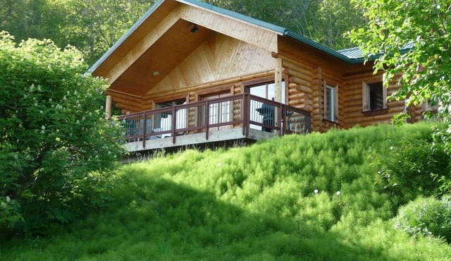 Panoramic Views And Privacy On A 40 Acre Homestead