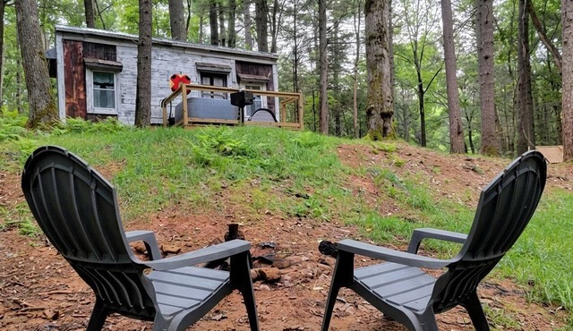 Pet-Friendly Tiny Home Rental in the Chattahoochee National Forest, for Glamping in Georgia