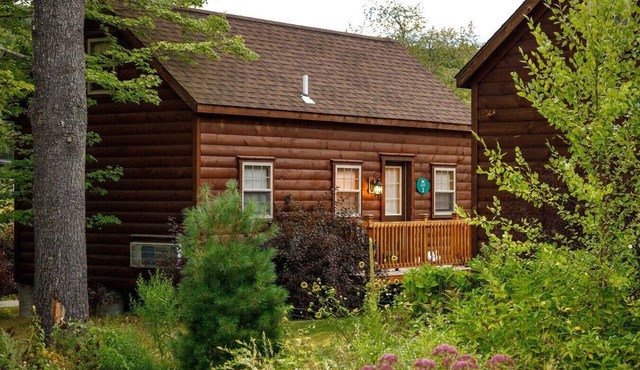 Pet Friendly White Mountains Cabin with Lake