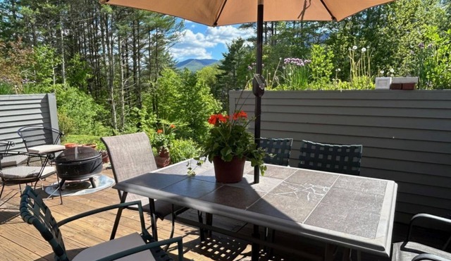 Private 2-bedroom condo with mountain views in charming Dorset, Vermont. in Bennington