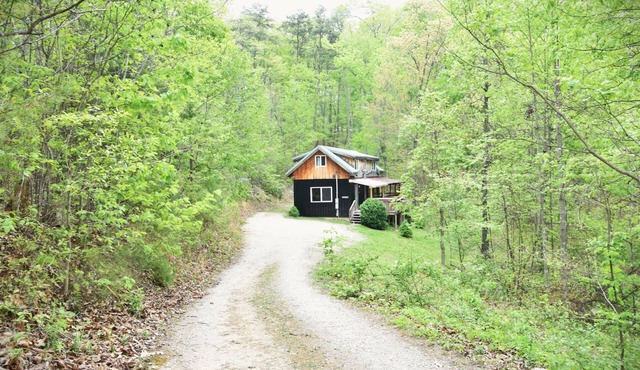 Private Forest Getaway: 3-BR w/Hot Tub