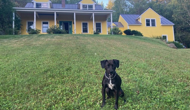 Private Retreat in Woodstock, 21 Acres, Views, Dog-friendly