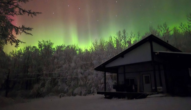 Quiet Alaska Cabin - Near Fairbanks - Trails & Wildlife