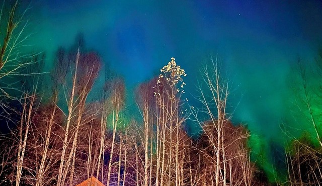 Riverfront, Authentic, Luxury Log Cabin-Bull Moose