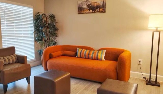 Rust King 2Bed 2Bath/By TMC/5 min walk to NRG