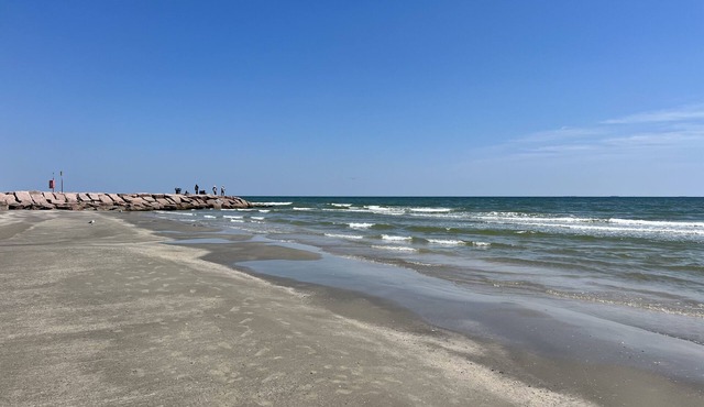 Skoolie Glamping on Canal in Crysteal Beach, Texas