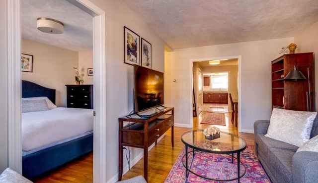 Spacious Apt In North End