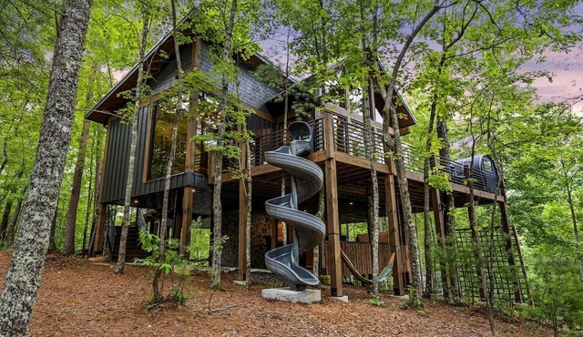 Spectacular Cabin with Incredible Living Areas Cherry Log, Georgia