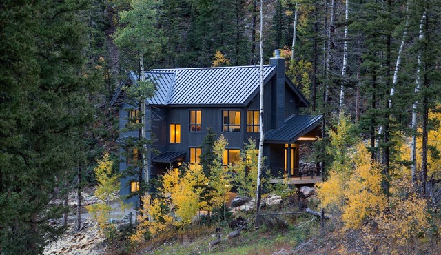 Taos Mountain Haus - Luxe Ski Retreat, Hot Tub