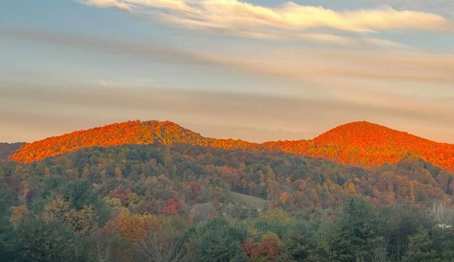 Two Cozy Designer Tiny Homes Private Compound Mountain Views Near Lake Glenville