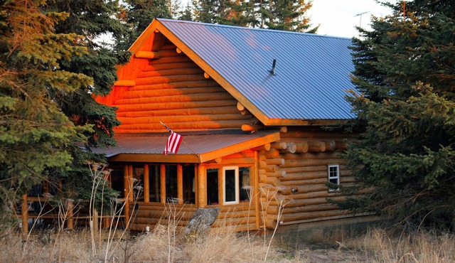Unique Alaskan log home in trees & wild flowers on 14-acre private homestead.