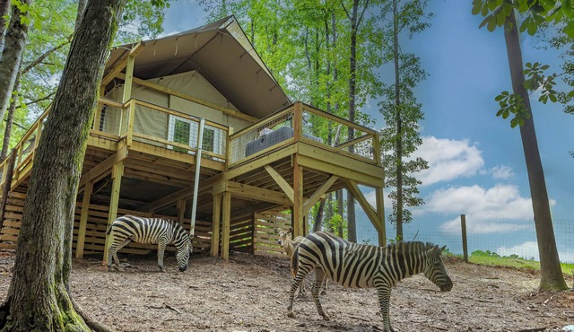 Zootastic Getaway | Private Zoo Access + Nature Retreat