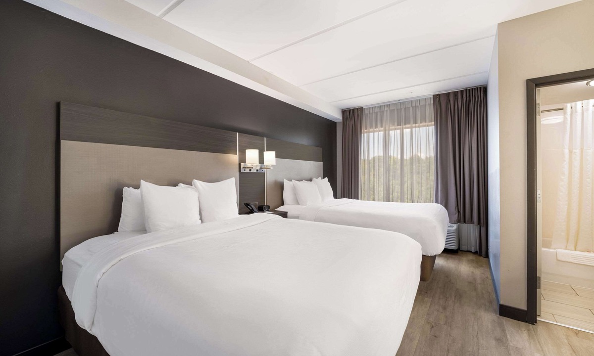 Paw Creek Hotel | Comfort Suites Northlake