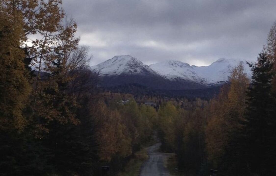 Photo of Outdoor in Rabbit Creek