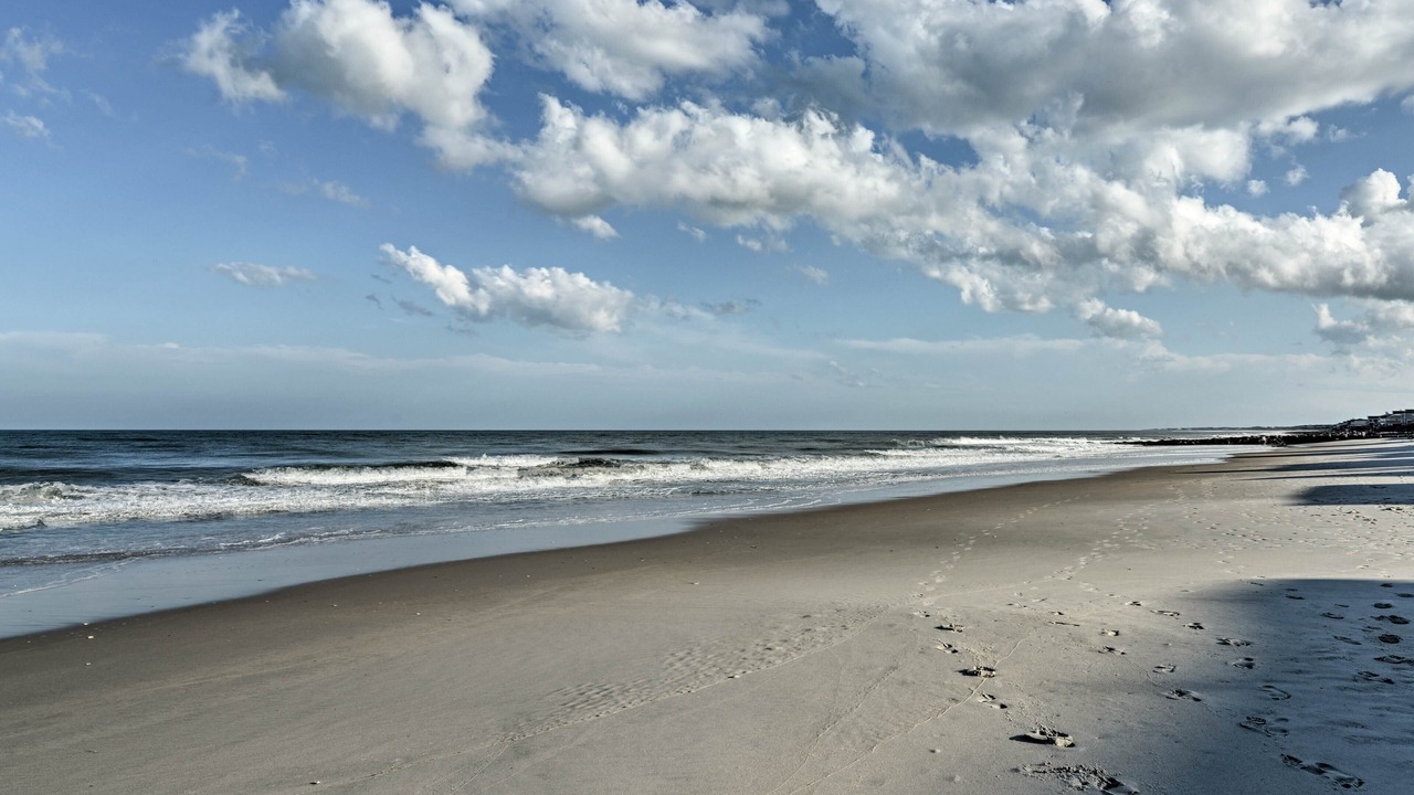 Photo of Others in Pawleys Island