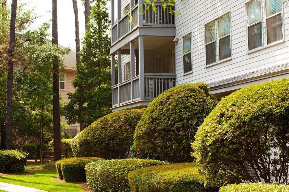 Photo of Outdoor in Palmetto Dunes