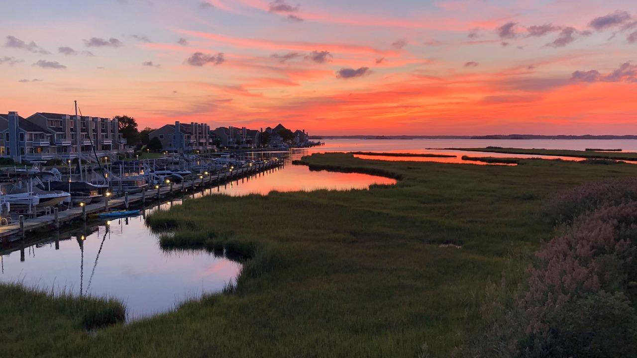 Photo of Others in North Ocean City